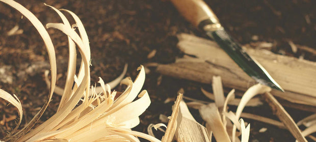 Banner image for: Outback Edge Imports